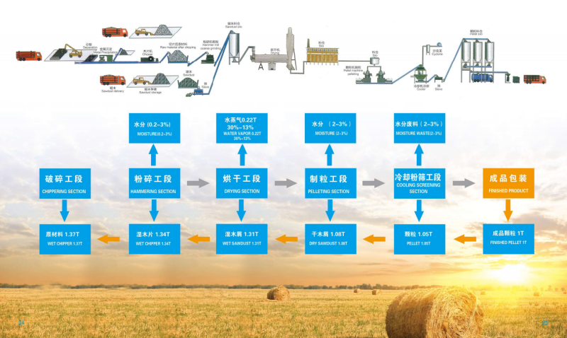 蜂鸟电竞 宣传册_13 - 副本.png